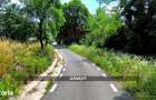 Teren intravilan 6115mp | Danesti, Maramures | Oportunitate investitie - 8