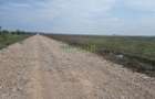 TEREN INDUSTRIAL 42.000 MP - FUNDENI - A2 PUZ APROBAT - 13
