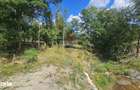Casa individuala | 4 camere | Teren 4840 mp | Sohodol | Bran - 15