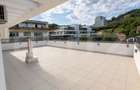 Penthouse Grigorescu | 274 mp Terase - 1
