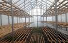 Casa + 1,1 ha intravilan, front stradal 15 m Reghin - 4