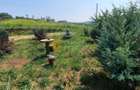 🌿🏡 Casă A-Frame 85 mp  utili 880 mp teren Chicerea Tomești 🏡🌿 - 12