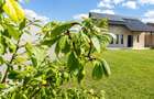 Resedinta noua SanpetruBod, pe 500 mp, eficienta energetica, panouri - 2