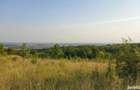Vand teren extravilan de 6 hectare in comuna Plopu, jude?ul Prahova - 4