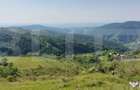 Teren extravilan pentru cabana, 3800 mp, zona-Ramet Transapu - 2