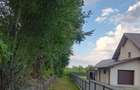 Teren intravilan 7.000 MP in Boroaia proprietar, lini?te ?i parau - 6