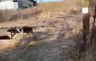 Teren intravilan Cristur - 10