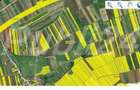 Vand Teren pentru infiintare plantatie.