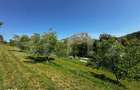 Teren deosebit de vanzare 1800 mp, Cheile Valisoarei livada de - 5