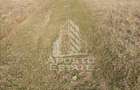 TEREN AGRICOL 1,524 HA, LA DOAR 10.000 Comision Zero % - 5