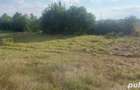teren intravilan Gorgota 5700 m deschidere la DN1 30m - 4