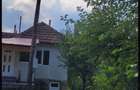 Casa pentru o familie harnica