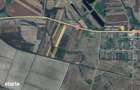 Teren extravilan 28.300 mp intre Gavojdia si Jena - 2