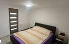 Apartament 2 camere Ferdinand - 4