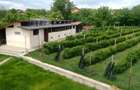 Casa + Garaj cu teren in ora? de vanzare - 1