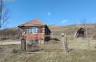 Casa individuala l Teren 2698 MP l Hagau - 5