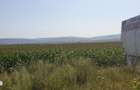 Teren intravilan 9500 mp, DN 2 BLACK SEA, Bacau - 4