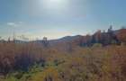 Teren la munte pentru cabanuta intre Breaza si Sinaia - 5