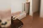 Apartament 2 camere Confort 2A Zona Vest
