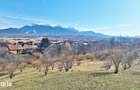 Comision 0%! Teren superb de 17000mp la 5 min de Castelul Bran, 13 eur - 4