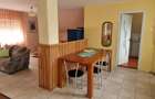Vila in Baile 1Mai , central, P+M, , SC 300 MP, teren 400 - 13