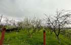Teren intravilan, 4447 mp, 28 ml deschidere, Pielesti - 2