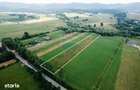 Teren 10,000mp Nemtisor / DJ 155C - 5