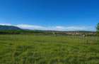 Teren de vanzare, 1300 mp, zona suburbana CISNADIE - 1