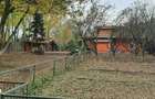 Vila pe malul lacului, 6 camere, Snagov - 2
