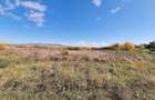 Teren intravilan, 400 mp, zona Plantelor, Piatra Neamt - 1