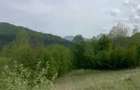 Vand teren extravilan zona Spitalului Bicaz - 2