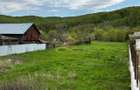 Teren intravilan de vanzare 2900 mp Luncani Bacau - 1
