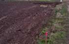 Vanzare teren 600 mp Snagov Ciofliceni - 5