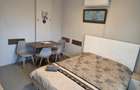 Apartament 2 camere de inchiriat extrasezon - 4