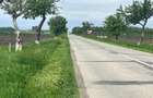 Teren extravilan, 3750 mp, zona Egger - 5