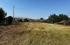 Teren intravilan 16058 mp + hale Calea Surii Mici
