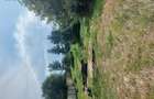 Vand vila in Zimand Cuz - 1