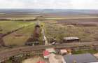 Fermă cu teren intravilan de 35000 mp în Mișca - 18