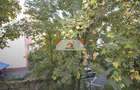 3 Camere, Et 2/4, Decomandat, Anvelopat,  Almasu Mare