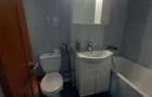 Apartament 3 camere decomandat pivnita zona Bulevardul Mihai Viteazul - 5
