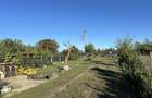 Teren la sosea loc focsani vn DN 23 - 5