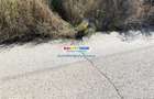 Vanzare teren intravilan Baicoi-zona tarag - 5