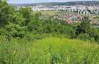 Teren extravilan Iasi, Galata, T54 - 3