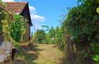 Casă cu teren 1.647 mp de vânzare – Hașag, Sibiu