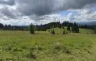 TEREN EXCEP?IONAL 2 Ha PE VIA TRANSILVANICA IN BUCOVINA - 5