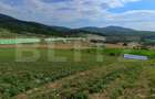 Teren extravilan, de vanzare, 6500 mp, zona Crasnei - 1