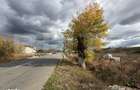 Teren intravilan, strada principala, 2339 mp, Predesti
