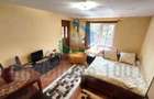 Curtuiusu Mare, casa 4 camere, suprafata utila 105 mp, teren 2431 mp - 20