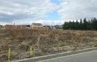 Teren intravilan, 877 mp Sanmartin (zona Beverly Hills) - 3