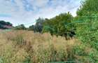 Teren intravilan 6000 m2 in zona industriala DN1A Sacele - 2